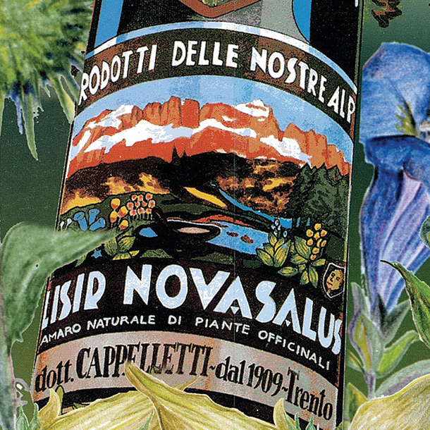 Close up of an illustration of Elisir Novasalus’ bottle label on a botanical background