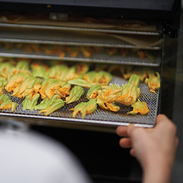 Chef taking a tray of squash blossoms out of a dehydrator in a restaurant kitchen.