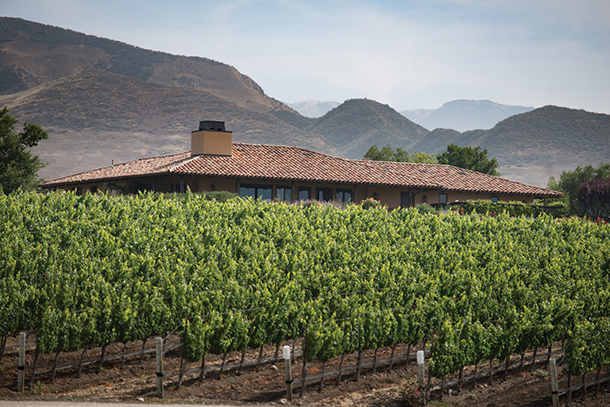 In the foreground, there is a vineyard with rows of green grape vines. In the background there is winery with a brown roof and mountains in the distance.