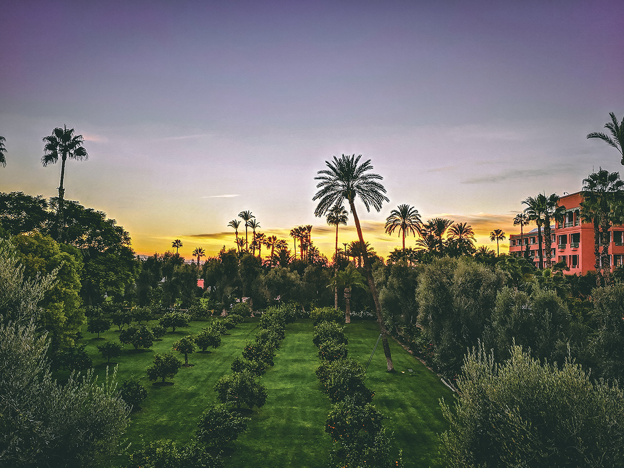 A coral colored property at sunset next to a large orchard-style garden with citrus, olive, and palm trees. 