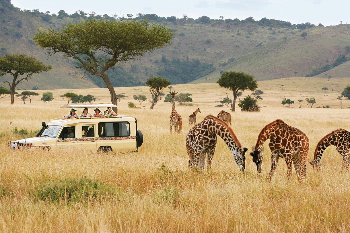 Tourists viewing giraffes in a safari Landcruiser vehicle in the great plains of Kenya