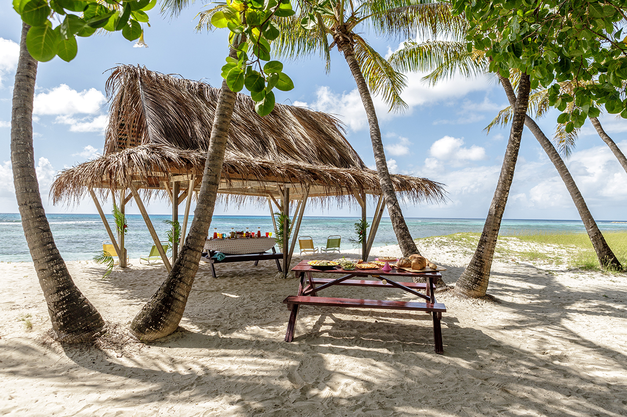 Oceanfront picnic on a sandy beach under a shady thatched gazebo with tables and benches surrounded by palm trees