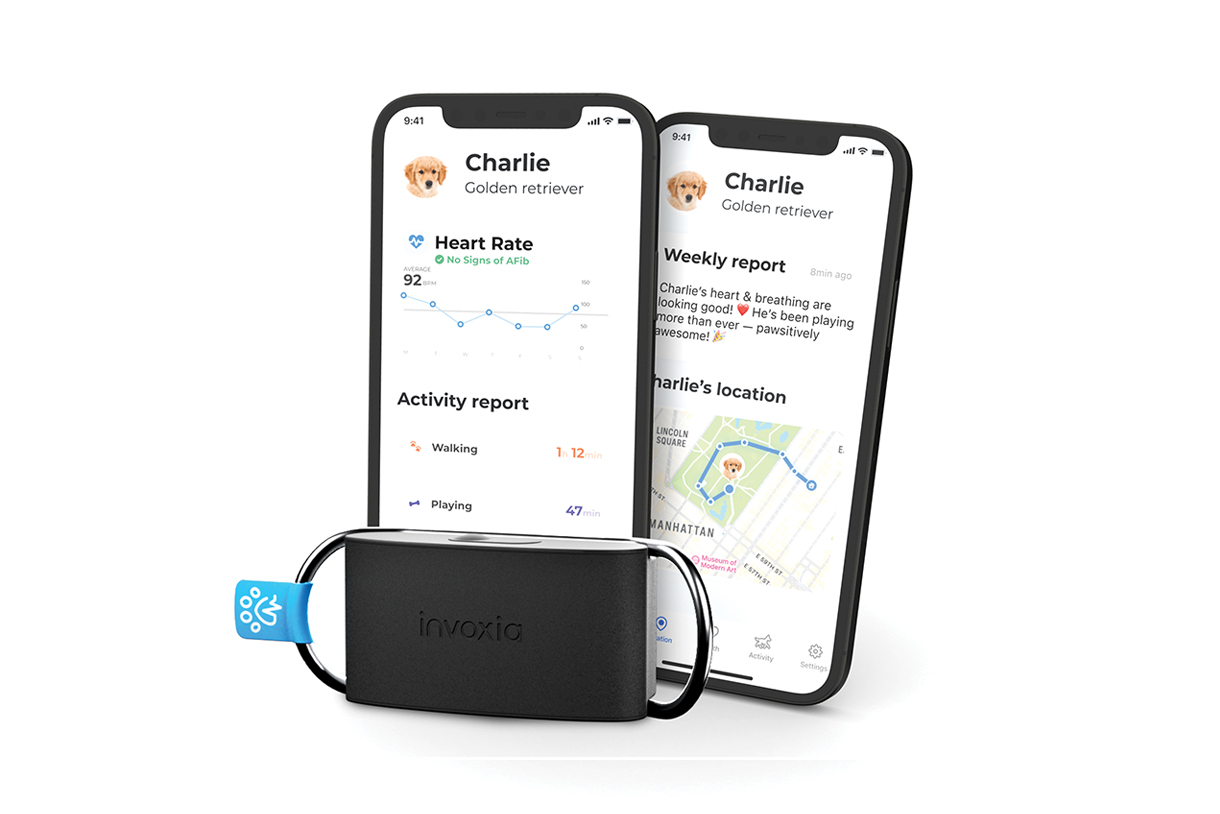 A smartphone showing a health app that displays a pet’s heart rate data, a weekly report, and activity levels. A second smartphone shows a map with Charlie's location and activity report. A small black device labeled 