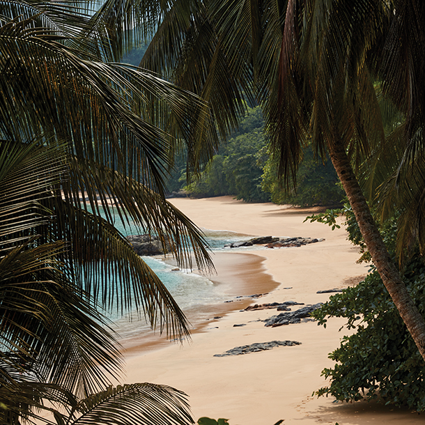 A secluded beach framed by palm trees. The sand is white and pristine, and the water is a clear, turquoise blue. Rocks jut out from the water near the shore.