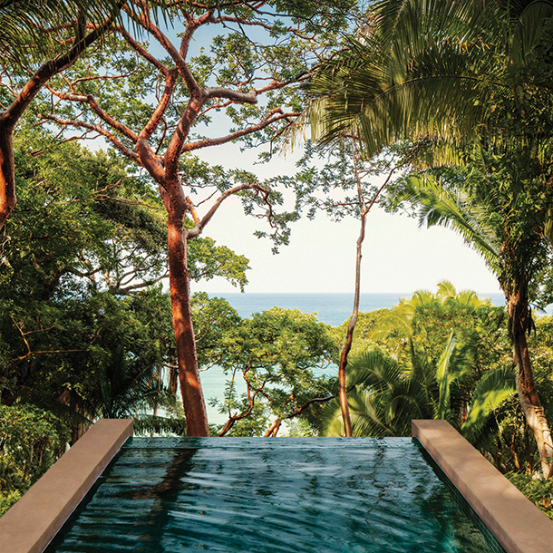 An infinity swimming pool with a view of the ocean. The pool is surrounded by trees and nature.