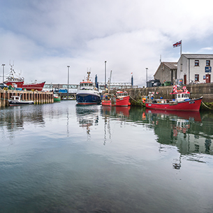  An ancient Scottish port and small tranquil marina with a few docked boats for fishing or recreation. In the background, there are white building and boathouses.