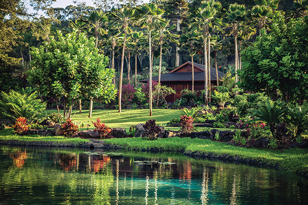 A serene and idyllic setting with a pond reflecting the surrounding tropical landscape, including palm trees and a traditional-style wooden house.