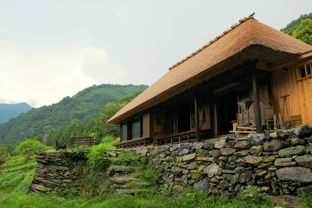 A photo of the exterior of a traditional Japanese farmhouse in Iya Valley. The farmhouse, called Chiiori, is nestled in the greenery of the valley and has a thatched roof, wooden walls, and a small garden in front. The farmhouse is surrounded by trees and vegetation, and the mountains can be seen in the distance. The sky is overcast, creating a peaceful and serene atmosphere.