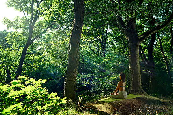 A person is sitting cross-legged in a lush forest, with trees and greenery surrounding them. The person's eyes are closed and their hands are resting on their lap in a meditative pose. Rays of sunlight are filtering through the trees and illuminating the foliage. The atmosphere is peaceful and tranquil, inviting the viewer to take a moment to connect with nature and relax. The photo is taken from a low angle, creating a sense of height and depth to the forest environment.