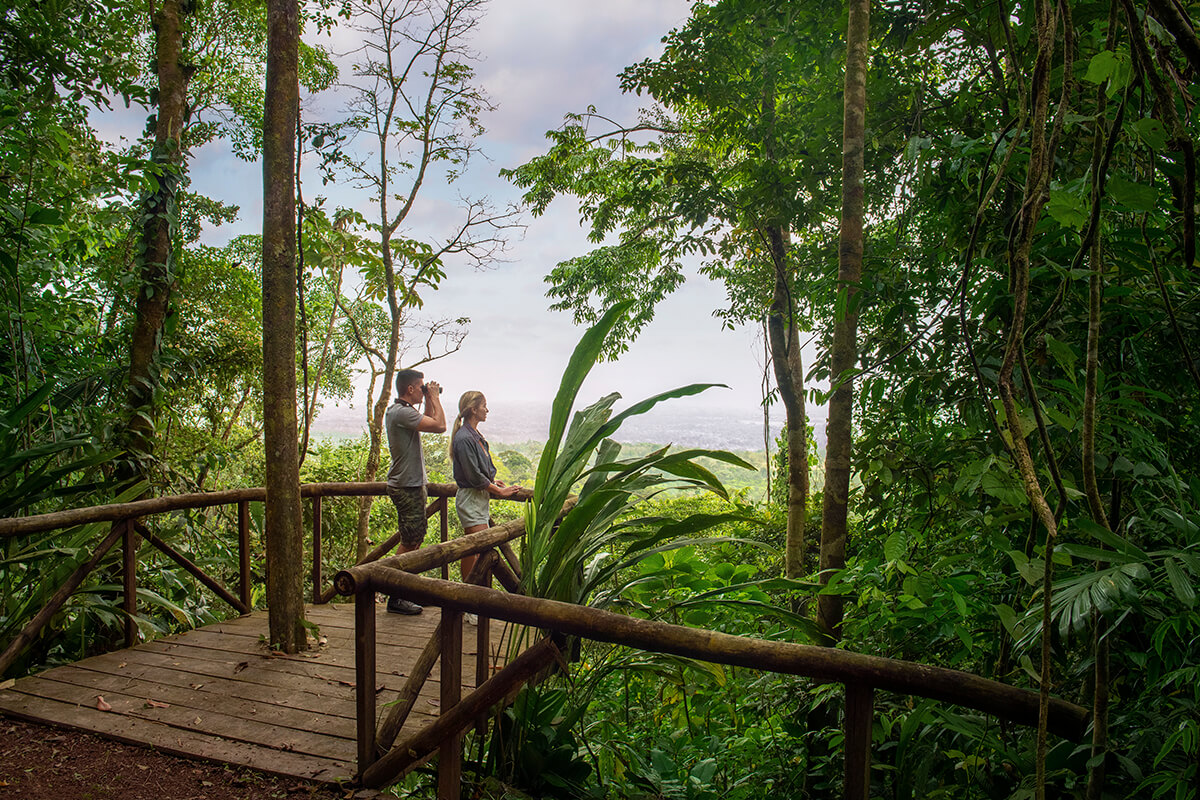 A scenic view of a tropical rainforest in Costa Rica, with lush green trees and foliage covering the landscape. In the foreground, a couple is taking in the view.