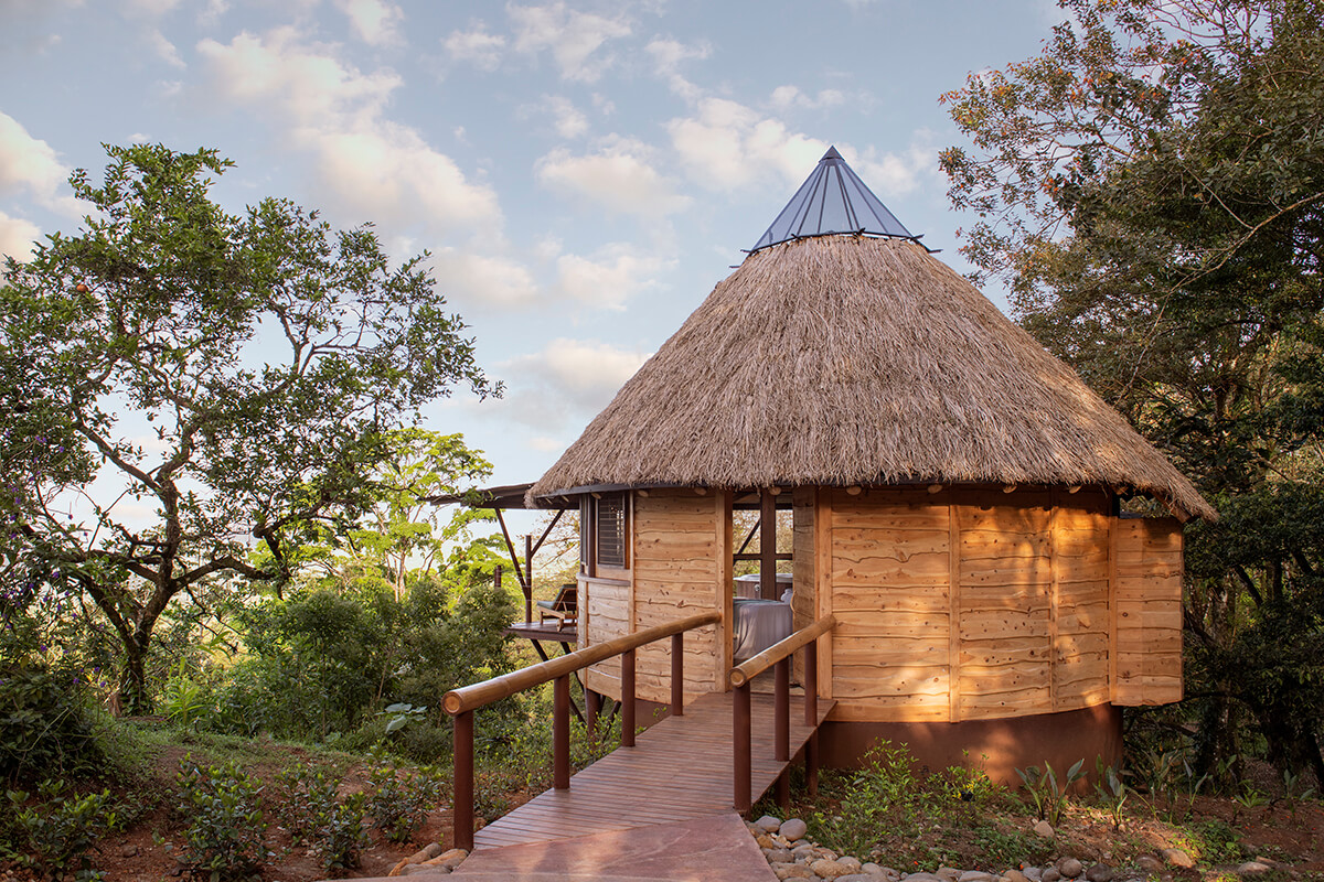  A spacious and luxurious spa suite set in the tropical rainforest in a hut style building. 