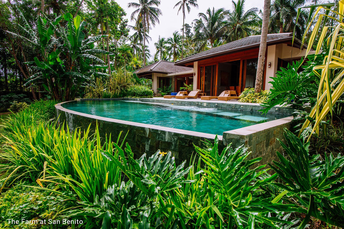 A large swimming pool surrounded by lush greenery.