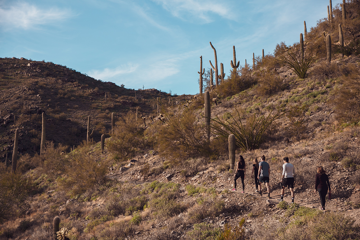A group on a hike in a scenic desert setting with cacti near the Civana Wellness Resort.