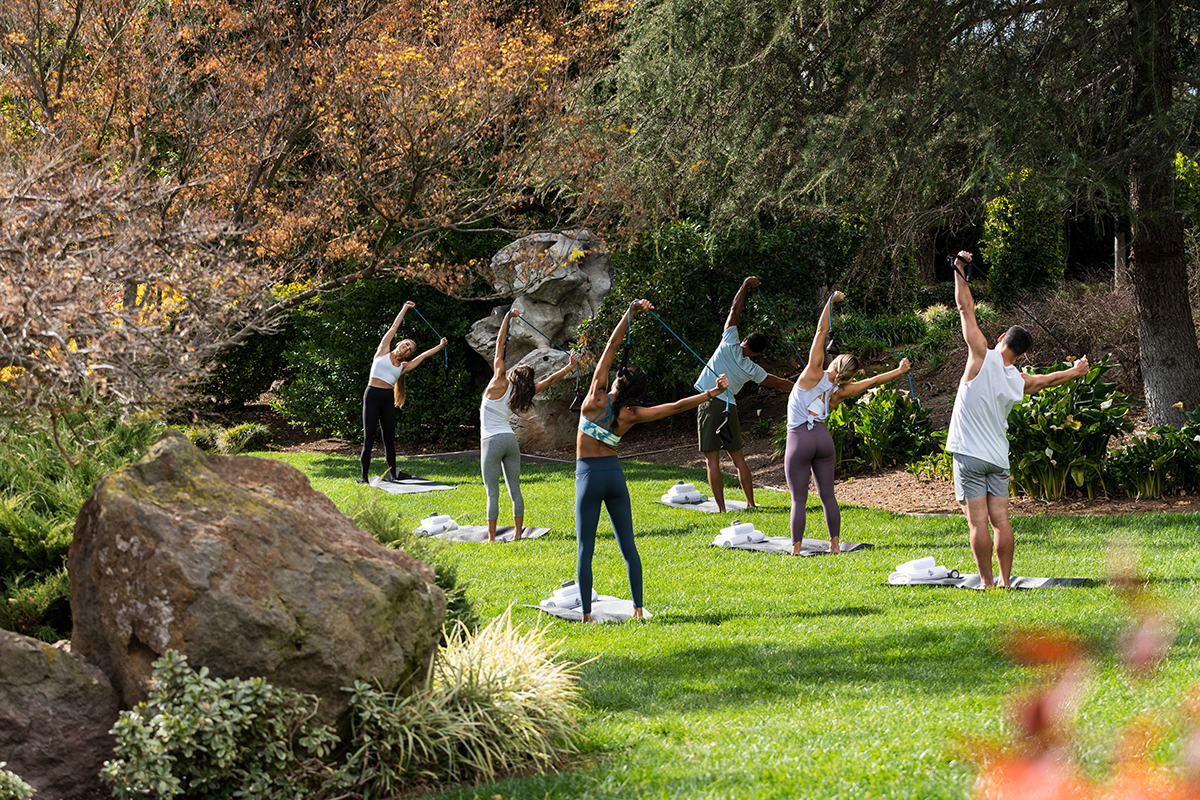 A yoga class bungee stretching with yoga mats in a lush green outdoor setting.