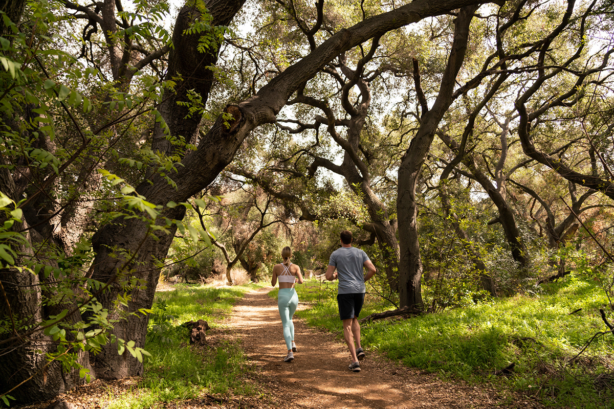 A couple jogging a beautiful tree-covered path in a beautiful outdoor setting.
