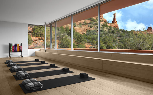 Yoga studio with wooden floors, mats, and exercise equipment with a large window showing a view of mountains.