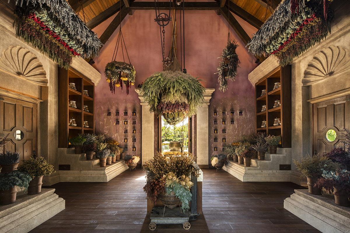 A large indoor room filled with a variety of potted plants. The plants are on the floor, hanging from the ceiling, and on shelves. Some of the identifiable plants include boxwoods, baby’s breath, and willow trees.