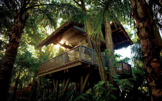 A treehouse with a balcony, nestled among the trees in a forest.